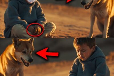 « Un garçon aveugle seul et en larmes – ce que ce chien errant a fait ensuite va vous laisser sans voix »