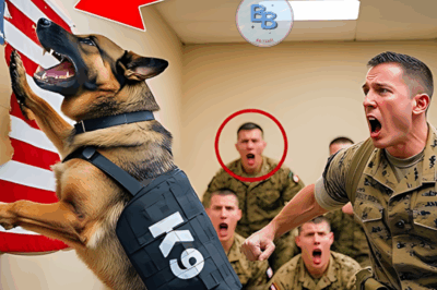 Un chien K9 arrache le drapeau d’une caserne : ce qu’il a découvert derrière le drapeau a choqué les soldats