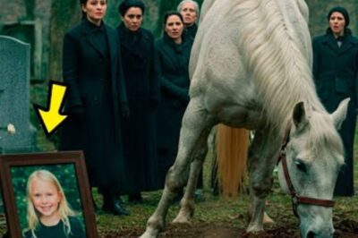 Le cheval envahit les funérailles de la fille de l’homme riche et commence à creuser la tombe, qu’il trouve…