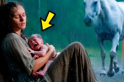 UN HOMME RICHE JETTE UNE FEMME ENCEINTE SUR LE POINT D’ACCOUCHER SOUS LA PLUIE, MAIS CE QUE FAIT LE CHEVAL…