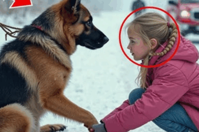 Little Girl And Dog Found Nearly Frozen in Woods—But Her Whisper Leaves the Rescuer in Tears.