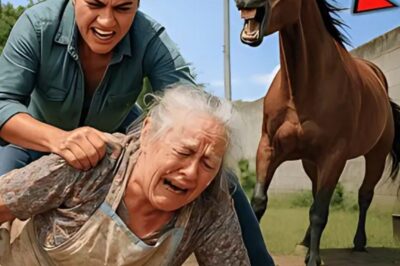 RICH SON avait prévu que FIERCE HORSE blesse MOM dans un FAUTEUIL ROULANT, mais que s’est-il passé ensuite…