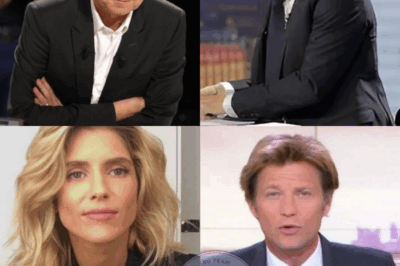 « ELLE EST TELLEMENT BELLE AU LIT ! » : Michel Denisot embarrasse Laurent Delahousse en faisant référence à son ex-compagne Alice Taglioni