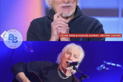 “J’ai raté ma vie” : Hugues Aufray, ses terribles confidences sur sa carrière dans “Bonjour !”