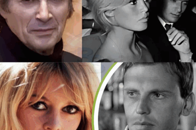 Brigitte Bardot a 88 ans : que devient Sami Frey, son autre grand amour avec JL Trintignant ?