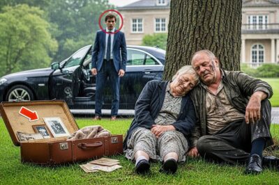 Le millionnaire s’arrêta, choqué, en voyant un couple âgé effondré sous la pluie devant sa maison…