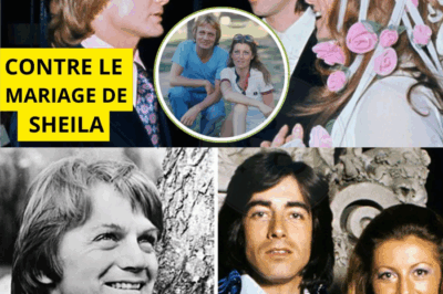 Mariage de Sheila et Ringo : la réaction brutale de Claude François « UNE PUANTE »