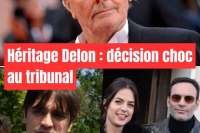Héritage Delon : décision choc au tribunal