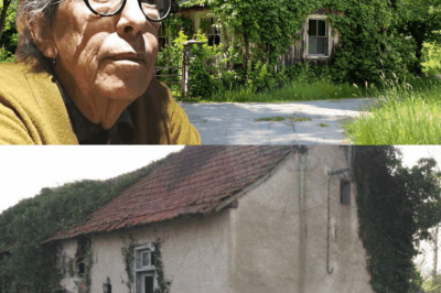 La maison abandonnée d’Anémone, plus désolée encore qu’une retraite, aujourd’hui avec une valeur nette choquante.