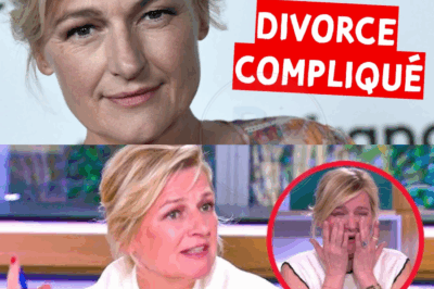 Son mari l’a quittée : Anne-Élisabeth Lemoine se confie sur la pire épreuve de sa vie !