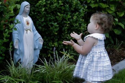 Miracle ou imagination ? Une scène inexplicable dans le jardin familial !