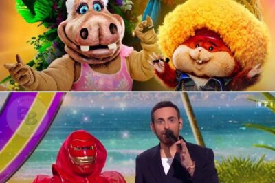 Mask Singer 2025 : voici les 3 premiers costumes de la saison !