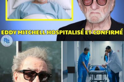 Dans les carnets d’Eddy Mitchell : les confessions d’un géant face à son dernier acte