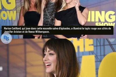 Nouveau look pour Marion Cotillard : L’ex de Guillaume Canet a changé de tête, sur quelle technique a-t-elle misé ?