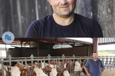 NOUVELLES AUJOURD’HUI : L’Amour est dans pré : David n’avait reçu aucun courrier, jusqu’à ce que…