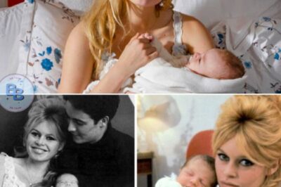 Nicolas-Jacques a 65 ans : que devient le fils mal aimé de Brigitte Bardot et Jacques Charrier ?