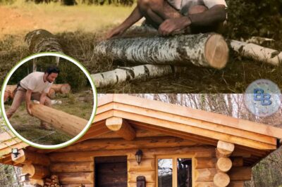 Vianney se retire dans la nature et construit sa cabane de ses propres mains : un projet fou est sur le point de prendre forme, pour le plus grand bonheur de ses fans.