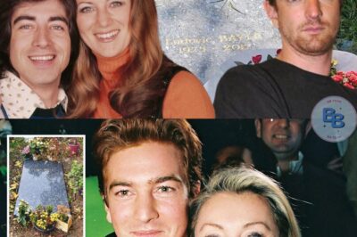 La tombe abandonnée de Ludovic Chancel-Bayle : le fils oublié de Sheila et Ringo repose seul au cimetière des Arches, dans une totale indifférence.