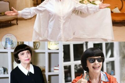 À 79 ans, Mireille Mathieu vit recluse dans une petite maison d’Avignon : le quotidien inattendu d’une star. L’intérieur de la maison suscite l’admiration par son caractère unique et spectaculaire.