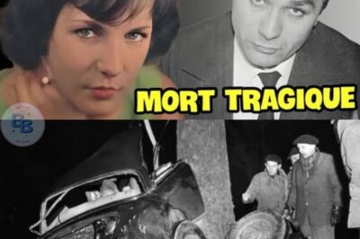 Mort tragique de Fernand Raynaud, son épouse avoue une mort douloureuse