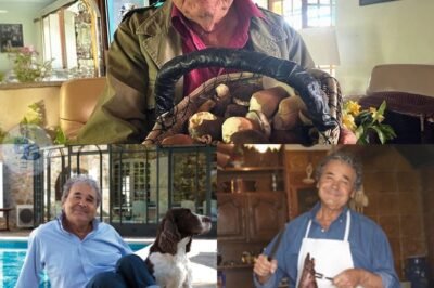 Abandonné par ses petits-enfants, Pierre Perret, 91 ans, passe ses journées dans sa maison isolée située à Nangis, où il n’y a “pas de voisins”