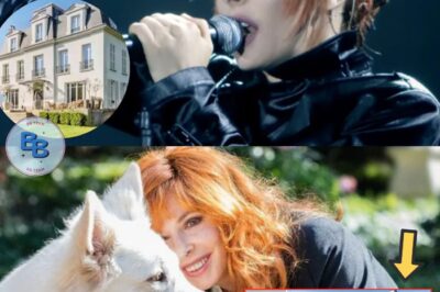 À 61 ans, Mylène Farmer a déjà été priée avec subtilité de quitter la luxueuse demeure du 16ᵉ arrondissement de Paris, où elle avait vécu plus de vingt ans :”Ses voisins se plaignaient du bruit”