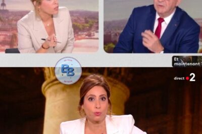 Le baptême du feu tourne au cauchemar : Léa Salamé face à la défiance du public pour son premier 20h