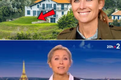 Anne-Sophie Lapix : le sublime hôtel particulier du XVIᵉ dans lequel elle loge à Paris