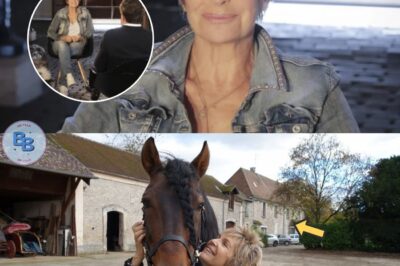 Véronique Jannot a quitté Paris : sa maison dans le Sud, une bergerie en ruines dont elle a fait un paradis et où elle produit sa propre huile d’olive