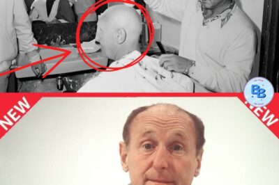 Bourvil : ses terribles derniers mois face à la maladie