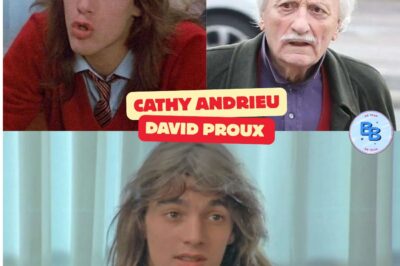 Les Sous-doués, que sont devenus les acteurs ?