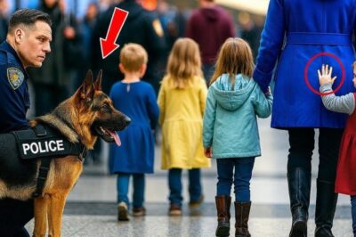 Une petite fille a donné un signal silencieux à un chien policier : ce que le chien a fait ensuite a choqué tout le monde