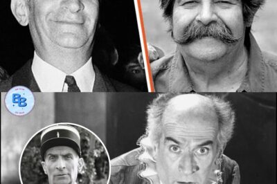 Daniel, le fils secret de Louis de Funès issu de son premier mariage, est décédé du même mal que lui. La famille a finalement révélé l’incident au public…