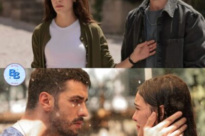 La notte nel cuore solo la domenica: martedì cancellato definitivamente