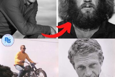 La vie et la triste fin de STEVE MCQUEEN