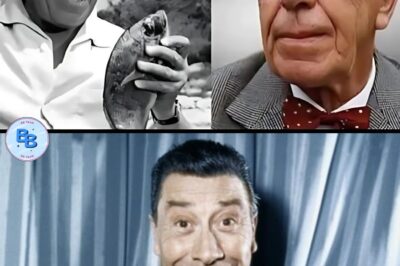 La vie et la Mort Tragiques de Fernandel