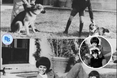 Mort de Claudia Cardinale : Après sa mort, les secrets sont progressivement révélés au public, la mère d’un fils caché qu’elle prétendait être son frère : « Ma naissance a été arrangée discrètement à Londres »