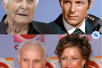 La Fille De Robert Conrad Confirme Enfin Ce Que Nous Pensions Depuis Le Début
