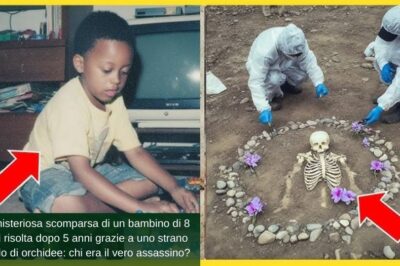 La misteriosa scomparsa di un bambino di 8 anni risolta dopo 5 anni grazie a uno strano anello di orchidee: chi era il vero assassino?