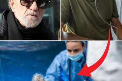 Eddy Mitchell hospitalisé et au plus mal. Le point sur sa santé !
