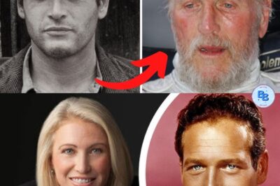 LA VIE ET LA TRISTE FIN DE PAUL NEWMAN