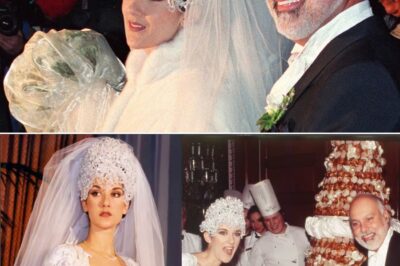 Céline Dion, ce qu’il s’est réellement passé le jour de son mariage : cette scène d’Aline qui a outré son clan