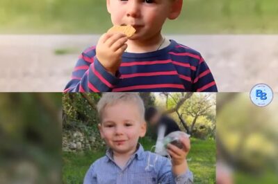 Le corps d’Emile a probablement été caché pendant des mois avant d’être déplacé – L’expertise révèle des détails choquants