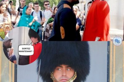 Un homme riche ne cesse d’agacer la garde royale, mais il ne s’attendait pas à ce que cela se produise