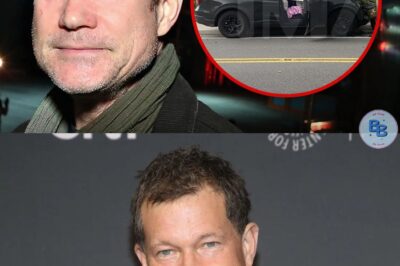 OMG : Dylan Walsh (Nip/Tuck) se crashe après avoir été victime d’un AVC en voiture