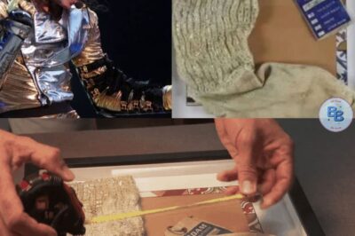 Michael Jackson : sa chaussette vendue 6 200 € aux enchères à Nîmes