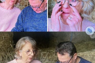 L’amour est dans le pré : Gilles demande à Isabelle de partir