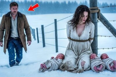 “Vieni con me”, disse il contadino solitario alla donna picchiata per aver dato alla luce tre figlie. Quello che accadde dopo vi sorprenderà!
