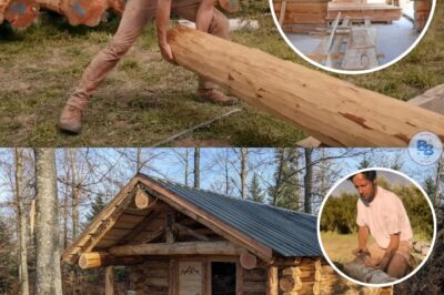 Vianney, le charpentier star du monde entier, célèbre son million d’abonnés et révèle l’intérieur époustouflant de sa cabane en bois