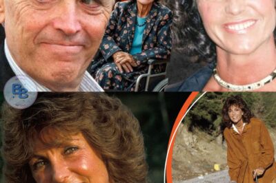 Sacha Distel : cet accident qu’il a provoqué et a handicapé à vie l’actrice Chantal Nobel.